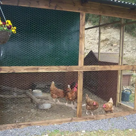 לינה וארוחת בוקר Eagle's Nest 4*