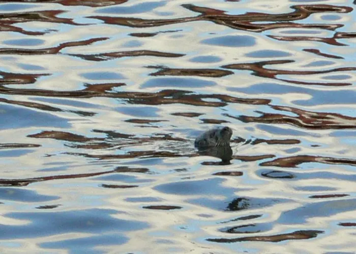 فندق مبيت وإفطار Eagle's Nest