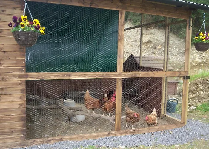 Bed & Breakfast Eagle's Nest 4*